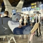 Ostrich pillow almohada para viajes